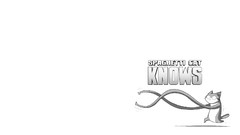 Cats spaghetti funny jolly Jack