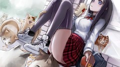 Cats stockings skirts long hair anime girls drinking purple eyes