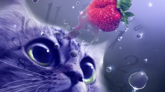 Cats strawberries