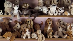 Cats toys (children)