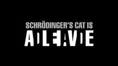 Cats Typography Schrödingers Cat