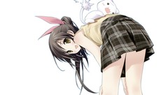 Cats white background anime girls cleavage bikini neko scans 