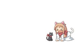 Cats white background closed eyes animal ears tails orange hair 
