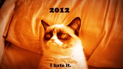 Cats zombies hate grumpy cat