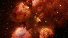 Catspaw noao big high