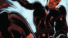 Catwoman dc comics comics girls