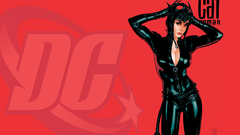 Catwoman dc comics selina kyle Adam Hughes