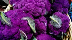 Cauli flower purple
