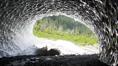Caves forests ice cave