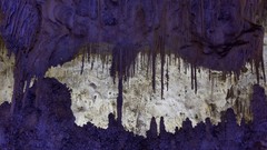 Caves national park new mexico
