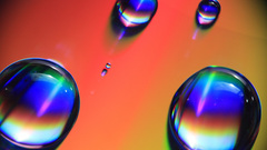 Cd largehr ofmacro photo