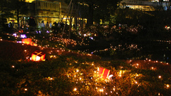 Ceefe ohttp com photos