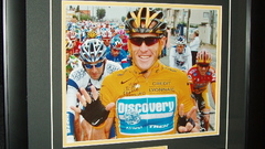 Celebrity armstrong lance high