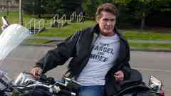 Celebrity David hasselhoff