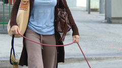 Celebrity Jessica biel