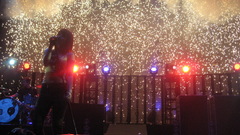 Celebrity singers hayley williams