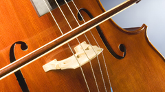 Cello Music instrument Music