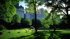 Central Park new york city