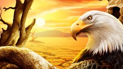 Cgi Eagles
