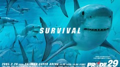 Championship Japan Fighting Pride