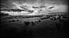 Changing light nature