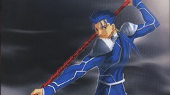 Characters fate stay night artwork fate series scans Lancer 