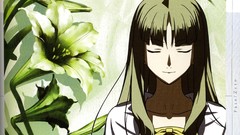 Characters fate zero concept art artwork fate series Tohsaka Aoi