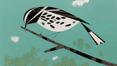 Charley harper warbler go