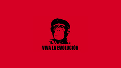 Che guevara monkeys Simple