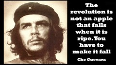 Che guevara murderer