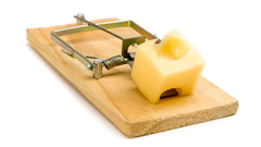Cheese Objects mouse trap