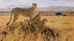 Cheetahs savanna artwork