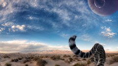 Cheetahs skyscapes deserts