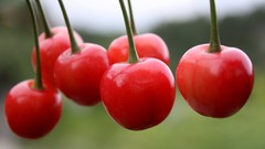 Cherries