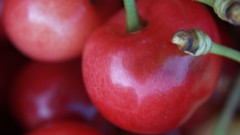 Cherries