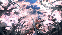 Cherry blossoms Anime