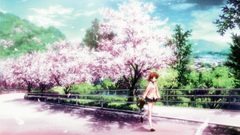 Cherry blossoms Clannad furukawa