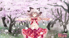 Cherry blossoms sakura nekomimi