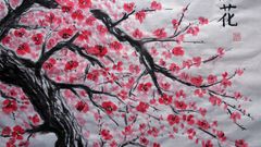 Cherry blossoms Trees Flowers