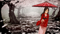 Cherry blossoms Umbrellas Japanese