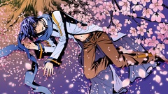 Cherry blossoms vocaloid Kaito