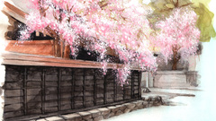 Cherryblossoms Manga Anime