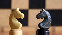 Chess Knights chess pieces