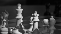 Chess monochrome