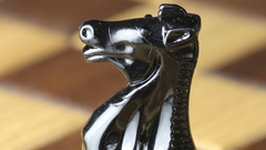 Chess piece black knight