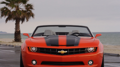 Chevrolet vehicles palm trees