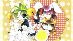 Chibi animal ears di gi charat