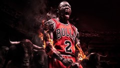 Chicago bulls
