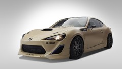 Chicago Carbon Scion sema