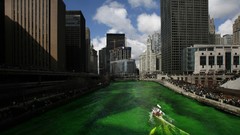 Chicago Patrick illinois